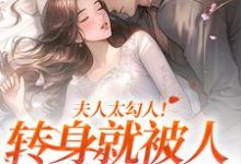 夫人太勾人！转身就被人给拱了小说完结版章节免费阅读-书评酱