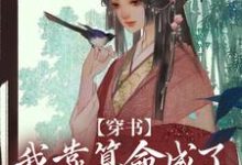 已完结小说《穿书:我靠算命成了修真界万人迷》章节免费阅读-书评酱
