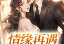完整版的情缘再遇,我超爱!小说在哪里可以免费读到?-书评酱