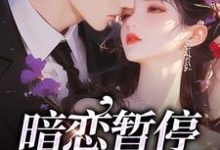 小说《放弃暗恋后,疯批哥哥宠她入骨》章节阅读-书评酱