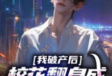 哪里能找到我破产后，校花翻身成总裁要养我？小说的全部章节？-书评酱