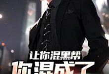 《让你混黑帮,你混成了社会英雄?》小说章节列表免费试读,方正小说在线阅读-书评酱