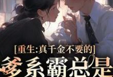 重生:真千金不要的爹系霸总是我的天菜小说全文阅读需要付费吗?寻找免费资源-书评酱