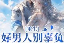重生:好男人别辜负,渣男别放过小说,重生:好男人别辜负,渣男别放过最新章节-书评酱