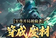 至尊开局被偷袭，穿成废材又如何？秦风姜洛神在线章节免费阅读-书评酱