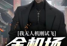 陆岩小说我无人机刚试飞，全机场就恐慌在线阅读-书评酱