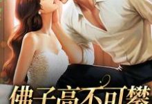 许雾裴鹤吟小说佛子高不可攀,入夜对她上瘾章节免费阅读-书评酱