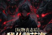 玩物丧志后,我从藏花海开始逆袭小说的免费电子版在哪里可以下载或阅读?-书评酱