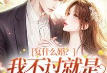 《复什么婚?我不过就是个备胎嘛!》全集免费在线阅读(许听雨祁时风)-书评酱