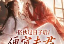 完结版《搭伙过日子后,便宜夫君沦陷了》在线免费阅读-书评酱