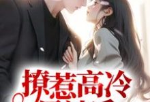 撩惹高冷男神后,他日日扮乖这本小说怎么样?免费在线阅读试试-书评酱