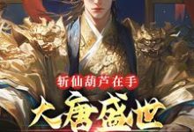 斩仙葫芦在手,大唐盛世全靠我这本小说怎么样?免费在线阅读试试-书评酱