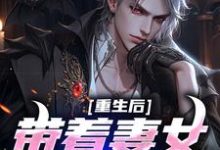 小说《重生后带着妻女疯狂捞金》章节阅读-书评酱