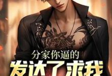 分家你逼的，发达了求我养老干什么小说的最新章节在哪里更新？免费追踪阅读-书评酱