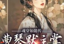 魂穿如懿传,曹琴默主掌后宫大权小说最新章节在哪里可以读到?-书评酱