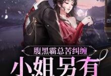小说《腹黑霸总苦纠缠,小姐另有心上人》在线章节阅读-书评酱