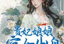 贵妃娘娘宫女出身,皇上偏宠着这本小说怎么样?免费在线阅读试试-书评酱