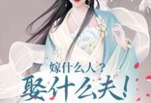 嫁什么人?娶什么夫!当然修仙啊小说无弹窗阅读的网站推荐-书评酱