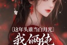 这年头谁当白月光,我俩纯纯走剧情章节免费在线阅读,温沅李昭完结版-书评酱