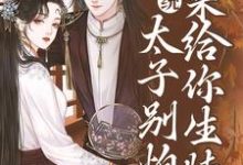 系统:太子别怕,我来给你生娃了这本小说怎么样?免费在线阅读试试-书评酱