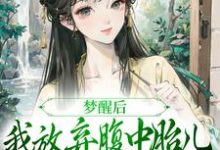 已完结小说《夫君扶妾贬妻,夫人觉醒后大杀四方》在线章节阅读-书评酱