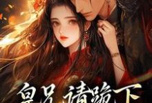 《皇兄请跪下,这江山我要了》小说章节在线试读,《皇兄请跪下,这江山我要了》最新章节目录-书评酱