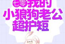 七零:我的小狼狗老公超护短(陆西橙霍竞川)在线免费阅读-书评酱