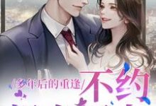 多年后的重逢，不约，姐有男友（禾念安傅璟忱）在线免费阅读-书评酱