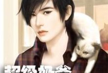 超级奶爸：家有四萌宝苏辰温柒柒小说大结局免费试读-书评酱