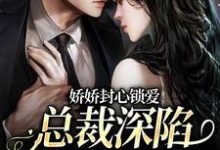 《娇娇封心锁爱,总裁深陷火葬场了》小说陆铭声顾岚章节章节免费在线阅读-书评酱