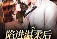 完结版《陷进温柔后,他宠上瘾了》章节阅读-书评酱