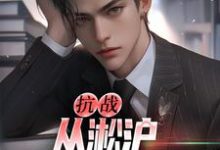 抗战:从淞沪保卫战开始小说全文哪里可以免费看?-书评酱