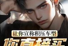 苏晨小说叫什么(让你宣称积压车型,你直接买脱销?免费阅读)-书评酱