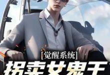 觉醒系统：拐卖女鬼王就变无敌小说无弹窗阅读的网站推荐-书评酱