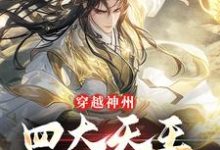 《穿越神州,四大天王可来相助》小说李风章节章节免费在线阅读-书评酱