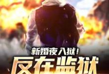 新婚夜入狱！反在监狱成大佬这本小说在哪里可以看？哪里有免费试读章节？-书评酱