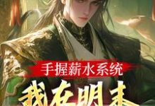 完整版的手握薪水系统，我在明末月入两千两小说在哪里可以免费读到？-书评酱