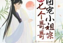 农门福宝:七个哥哥团宠小祖宗顾柠傅小九小说在线章节免费阅读-书评酱