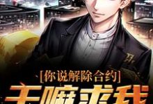 你说解除合约,干嘛求我回去陆洲小说大结局免费试读-书评酱
