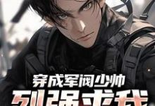 穿成军阀少帅，列强求我别扩军了秦林在线章节免费阅读-书评酱