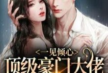 一见倾心:顶级豪门大佬的俯身予宠小说免费资源,一见倾心:顶级豪门大佬的俯身予宠在线阅读-书评酱