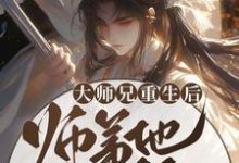 完结版《大师兄重生后,师弟他疯狂追妻》免费阅读-书评酱