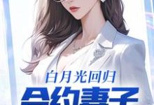 白月光回归,合约妻子和我离婚了小说的无弹窗阅读体验,寻找免费阅读网站-书评酱