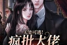 完整版的无处可逃！疯批大佬强制爱小说在哪里可以免费读到？-书评酱