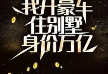 在线寻找分手后,我开豪车住别墅身价万亿小说的无删减版本-书评酱