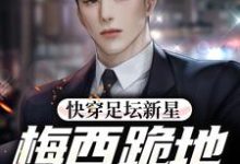 快穿足坛新星，梅西跪地求放过小说，快穿足坛新星，梅西跪地求放过章节在线阅读-书评酱