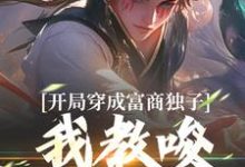 已完结小说《开局穿成富商独子,我教唆老爹造反》在线章节阅读-书评酱