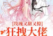 玫瑰又甜又撩,狂拽大佬只想要名分免费阅读,玫瑰又甜又撩,狂拽大佬只想要名分章节在线阅读-书评酱