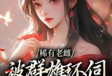 《稀有老雌被群雄环伺，被迫生子》小说苏棠章节章节免费在线阅读-书评酱