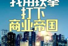 小说《兵王入红尘:我用铁拳打下商业帝国》在线章节阅读-书评酱